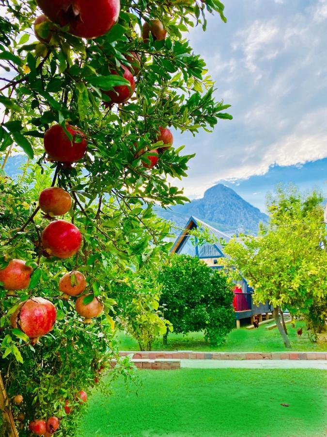 Garden Bungalow Antalya Buitenkant foto