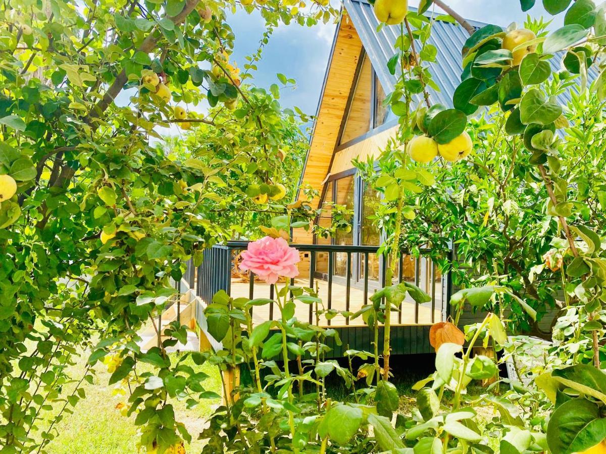 Garden Bungalow Antalya Buitenkant foto